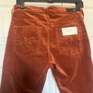 NWT ADRIANO GOLDSCHMIED WOMANS FIRED COPPER 27 FARRAH SKINNY PANTS